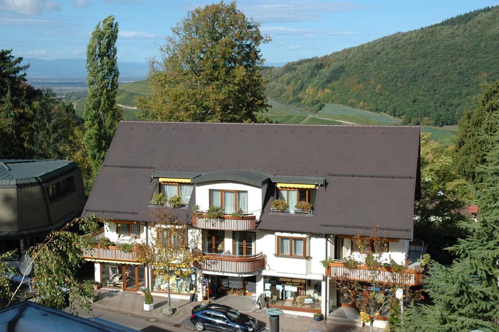 Park Appartements Badenweiler Luaran gambar