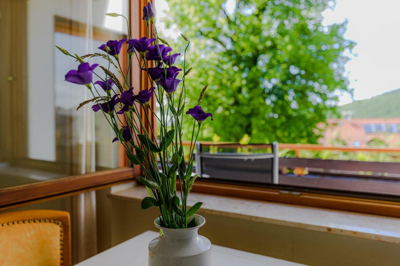 Park Appartements Badenweiler Luaran gambar